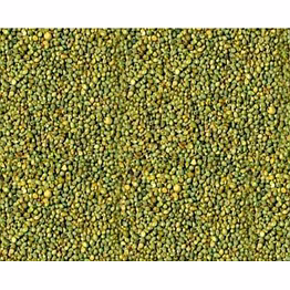 india yellow-green millet
