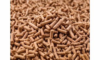 biomass wood pallets
