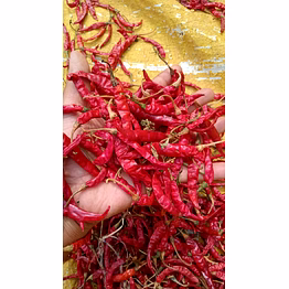dried teja (s17) chili