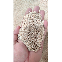White Sesame Seeds