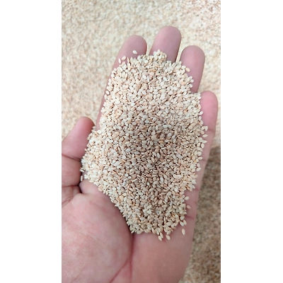 White Sesame Seeds