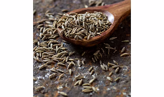 Fennel Seeds