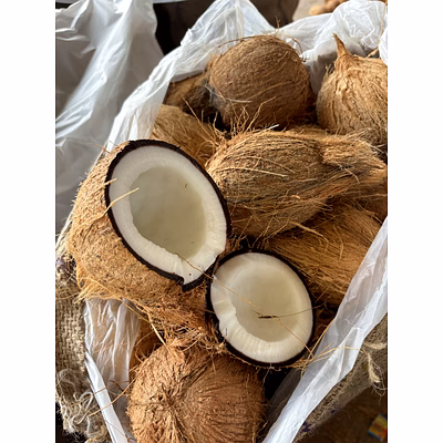 coconut