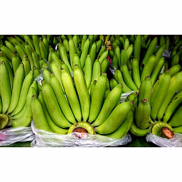 cavendish banana