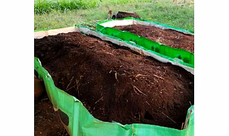 Vermi Compost