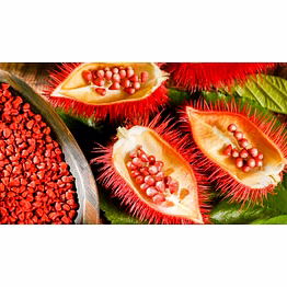 ecobyngo annato seeds