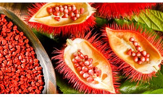 Annato Seeds