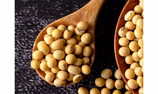 Soyabean
