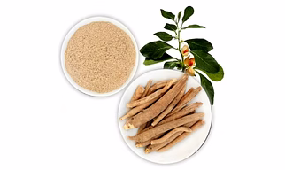 Ashwagandha Extract Powder