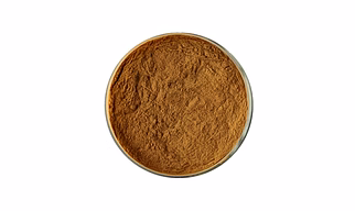 Andrographis Paniculata Extract powder