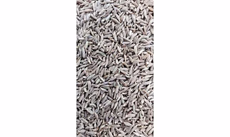 Cumin Seeds