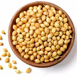 sanghani coriander seeds