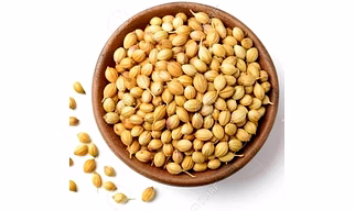 Coriander Seeds