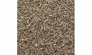 Premium Cumin Seeds