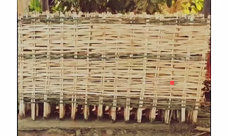 Bamboo compound sheet