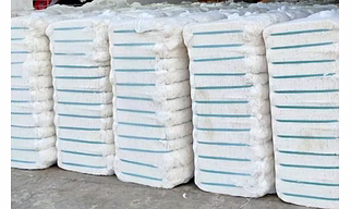 RAW cotton
