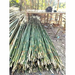 bamboo poles