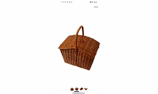Cane basket