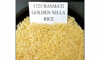 Golden basmati rice
