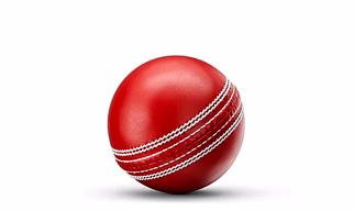 cricket ball