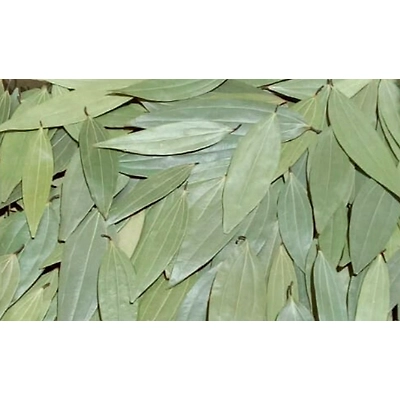 Bay Leaf