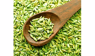Fennel seed