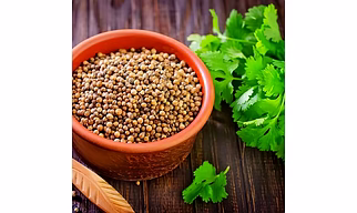 Coriander seed