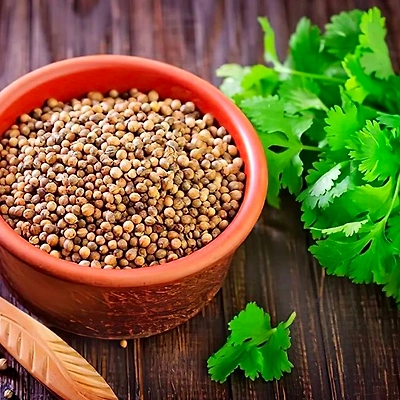 Coriander seed