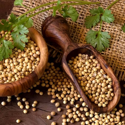 Coriander seed-1