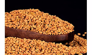 Fenugreek Seed