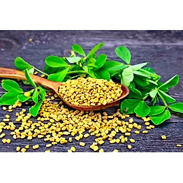 Fenugreek Seed