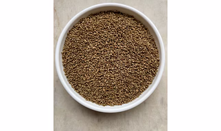 Ajwain Seeds (Carom Seeds)