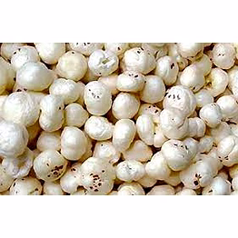 premium makhana – high purity, moisture-free, and nutrient-rich lotus seeds for bulk export