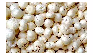 Premium Makhana – High Purity, Moisture-Free, and Nutrient-Rich Lotus Seeds for Bulk Export