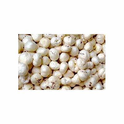 premium makhana – high purity, moisture-free, and nutrient-rich lotus seeds for bulk export
