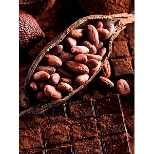 Cocoa Beans
