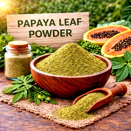 papaya leaf powder | bulk ingredient powder for b2b food & wellness buyers