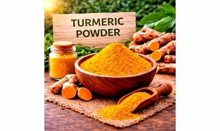 Turmeric Powder (Culinary) Organic Powder Ingredient | Adizo Exports Bulk Supply For Wholesalers, Distributors & Importers