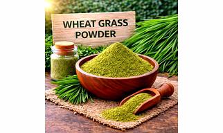 Wheat Grass Powder Organic Powder Ingredient | Adizo Exports Bulk Supply For Wholesalers, Distributors & Importers