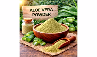 Aloe Vera Powder Herbal Powder Ingredient | Adizo Exports Bulk Supply For Wholesalers, Distributors & Importers