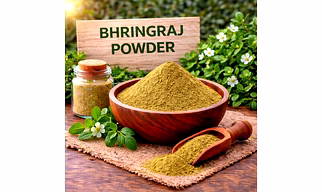 Bhringraj Powder Herbal Powder Ingredient | Adizo Exports Bulk Supply For Wholesalers, Distributors & Importers
