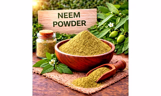 Neem Powder Herbal Powder Ingredient | Adizo Exports Bulk Supply For Wholesalers, Distributors & Importers