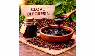 Clove Oleoresin  | Adizo Exports Bulk Supply For Wholesalers, Distributors & Importers