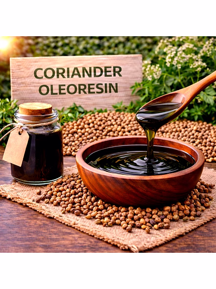 Coriander Oleoresin