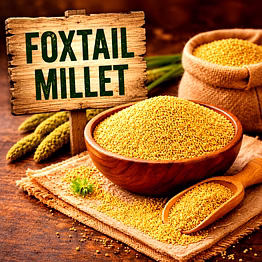 foxtail millet millet grain | adizo exports bulk supply for wholesalers, distributors & importers