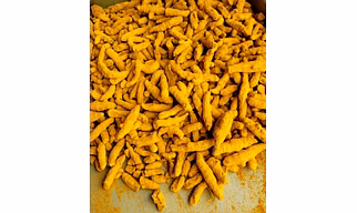 Turmeric finger