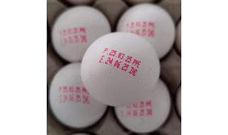 HEN EGG