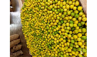 Lemon