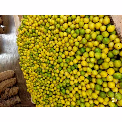 lemon