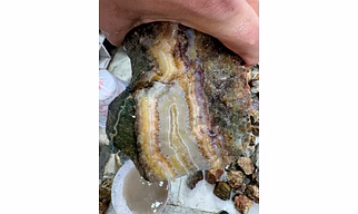 Ocean Jasper